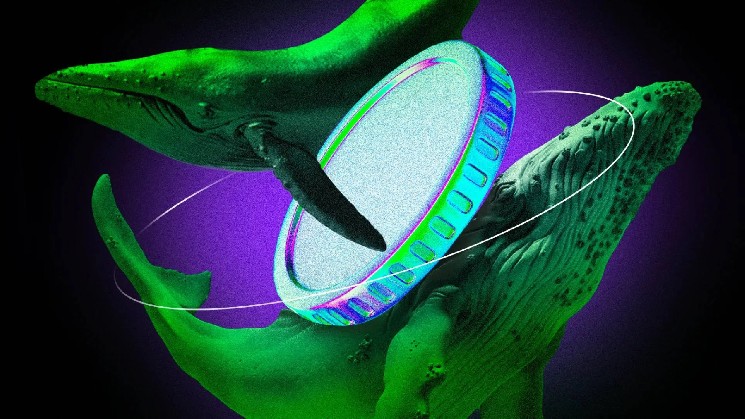 یک میلیون دلار سرمایه در انتظار معامله گران حرفه ای در صرافی Toobit